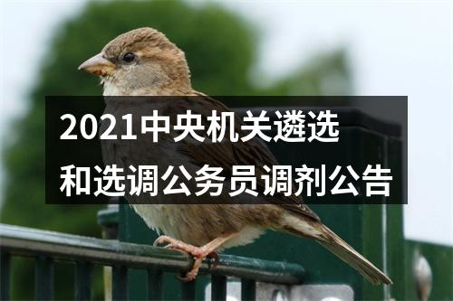 2021中央机关遴选和选调公务员调剂公告 图片