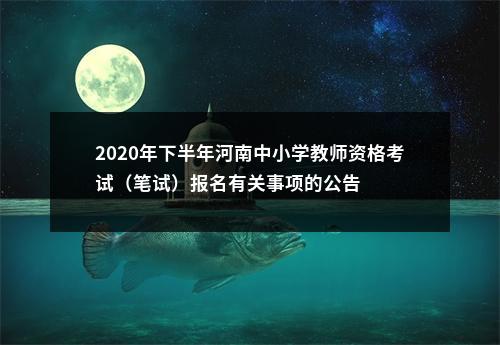 2020年下半年河南中小学教师资格考试（笔试）报名有关事项的公告 图片