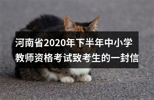 河南省2020年下半年中小学教师资格考试致考生的一封信 图片
