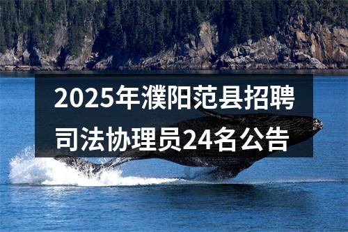2025年濮阳范县招聘司法协理员24名公告 图片