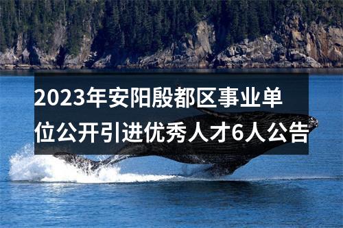 2023年安阳殷都区事业单位公开引进优秀人才6人公告 图片