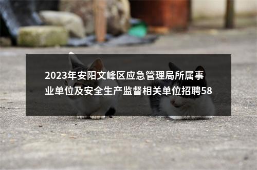 2023年安阳文峰区应急管理局所属事业单位及安全生产监督相关单位招聘58人公告 图片