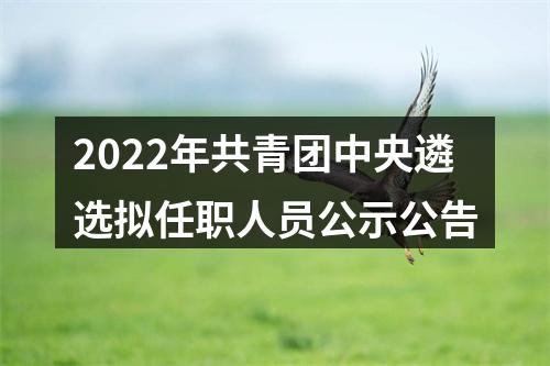 2022年共青团中央遴选拟任职人员公示公告 图片
