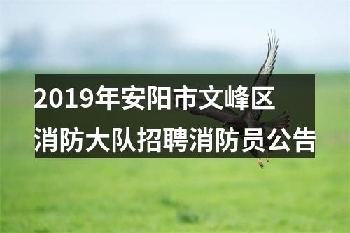 2019年安阳市文峰区消防大队招聘消防员公告 图片